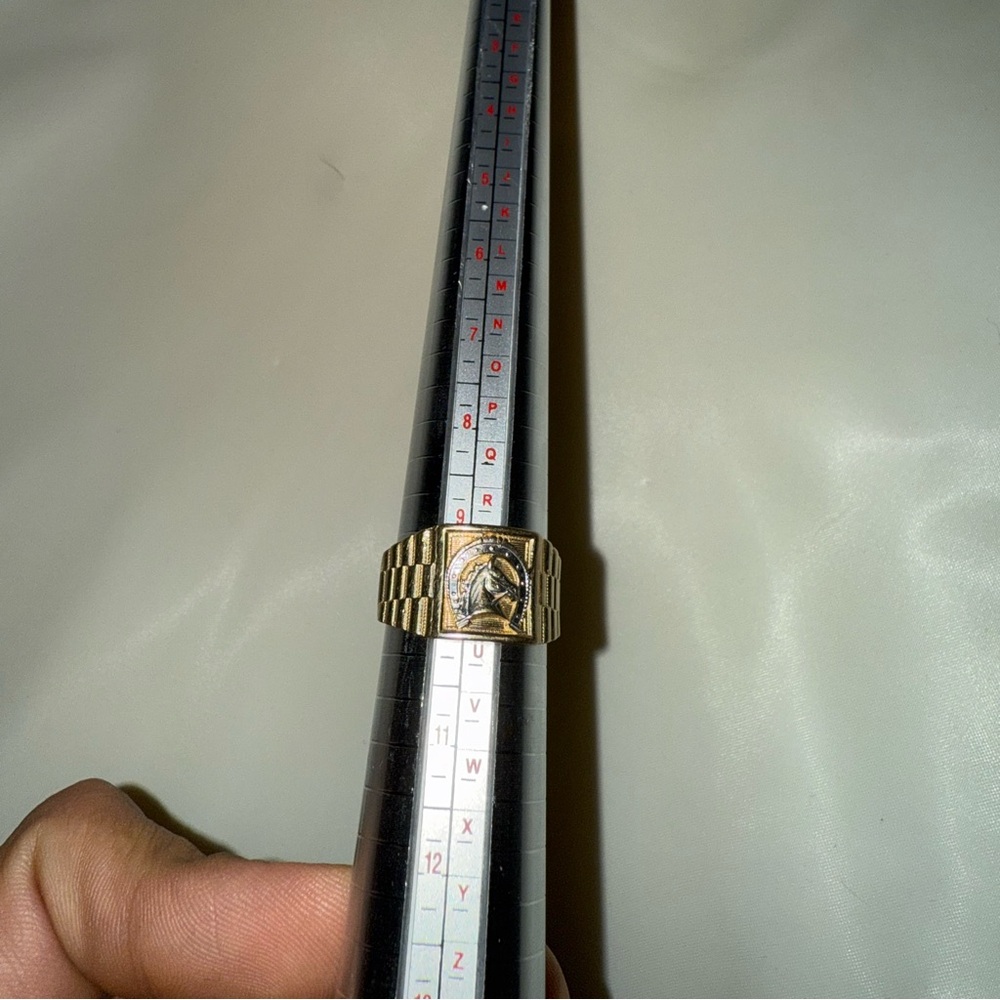 14K Men Gold Ring 💍🐎